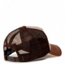 Gorra Looney Tunes Taz  CAPSLAB