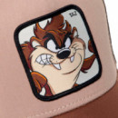 Gorra Looney Tunes Taz  CAPSLAB