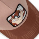 Gorra Looney Tunes Taz  CAPSLAB