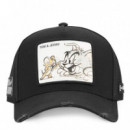 Gorra Tom y Jerry  CAPSLAB