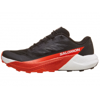 SALOMON Pulsar