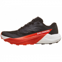 SALOMON Pulsar