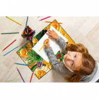 Vade escolar Dragon Ball Z