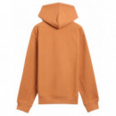 CARHARTT - Hooded American Script Sweat - 2ZYXX - I028279/2ZYXX