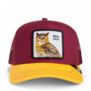 Gorra The Real Talk Owl  GOORIN BROS