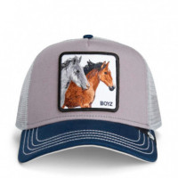 Gorra The Boyz  GOORIN BROS