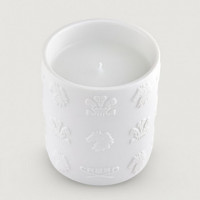 Sea Island
vela Aromática  CREED