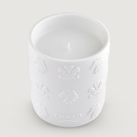 Vanisia
vela Aromática  CREED