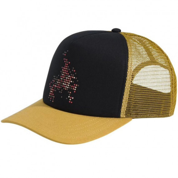 Gorra VANS Skate Flame