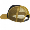 Gorra VANS Skate Flame