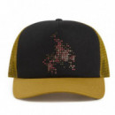 Gorra VANS Skate Flame