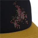 Gorra VANS Skate Flame