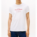Camiseta TOMMY HILFIGER Graphic Blanca