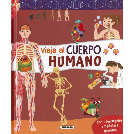 Cuerpo Humano
