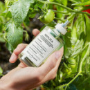 Replica  From The Garden  MAISON MARGIELA