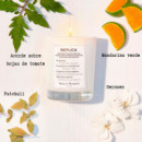 Replica From The Garden
vela Aromática  MAISON MARGIELA