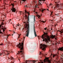 Plein Fatale Rose  PHILIPP PLEIN
