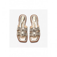 Sandalias Ariany Mule Dorad  CLARKS