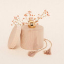 Llamador de ángeles Lucky Star ILADO