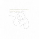 Doudou Bola Embarazo Ange ILADO