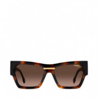 Gafas de Sol Victory C 19/S  CARRERA