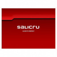 SALICRU Web Adapter Tarjeta Snmp/web Interna