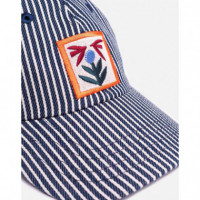 Gorros y Gorras Gorra OLOW Bud Striped