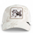 Gorra Bestie Camo  GOORIN BROS