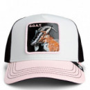 Gorra Tricolor Goat  GOORIN BROS