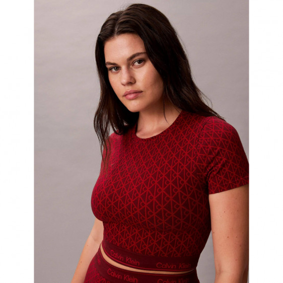 Short Sleeve Top 19163 Seamless Emblem+d  CALVIN KLEIN
