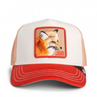 Gorra Tricolor Fox  GOORIN BROS