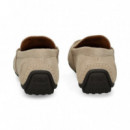 CONDUCTOR ANTE BEIGE