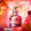 Scandal Eau de Parfum
estuche  JEAN PAUL GAULTIER