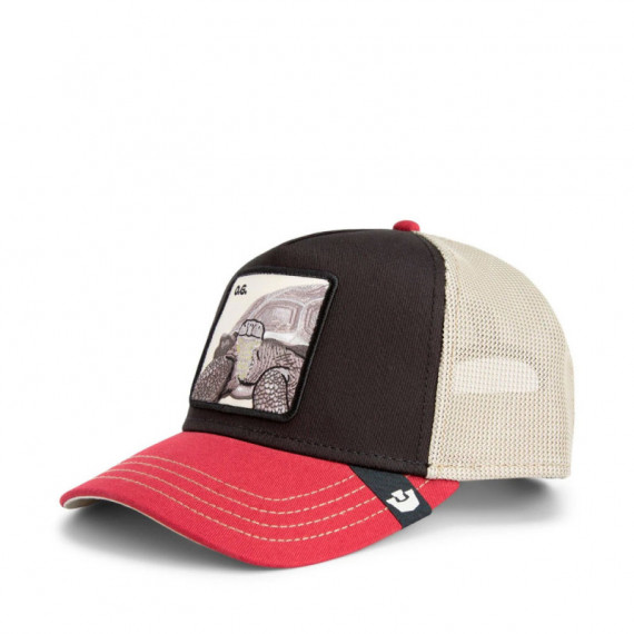 Gorra Tricolor Tortiouse  GOORIN BROS