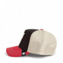 Gorra Tricolor Tortiouse  GOORIN BROS