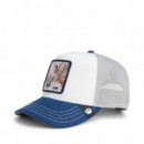 Gorra Tricolor Rhino  GOORIN BROS