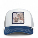Gorra Tricolor Rhino  GOORIN BROS
