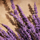 Devotion For Men Parfum 
estuche  DOLCE & GABBANA