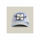 Gorras Flare Up  GOORING BROS