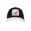 Gorras Sphynx  GOORING BROS