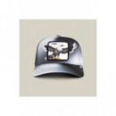 Gorras Steal This Hat  GOORING BROS