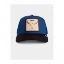 Gorras Two-tone Skull  GOORING BROS