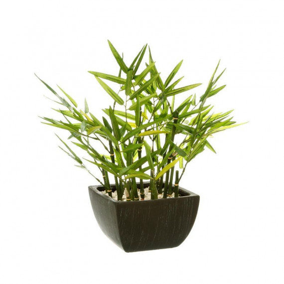 Terraza Y Jardín Planta 3513320