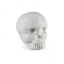 Shaker Lp Forma de Craneo Blanco Brillo Oscuridad  LATIN PERCUSION