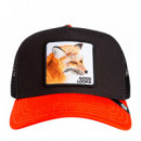 Gorra Good Looks Fox  GOORIN BROS
