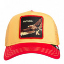Gorra The Faithful Eagle  GOORIN BROS