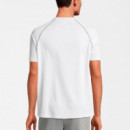 Camiseta Lexow Raglan  FILA