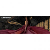 PROFOTO Rfi Panel de Abeja (softgrid) 50 5 Octa (150)