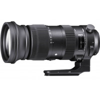 SIGMA 60-600MM F4.5-6.3 Dg Os Hsm Sports Nikon