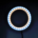 Dörr Anillo Led SLR-16 Bicolor  DORR